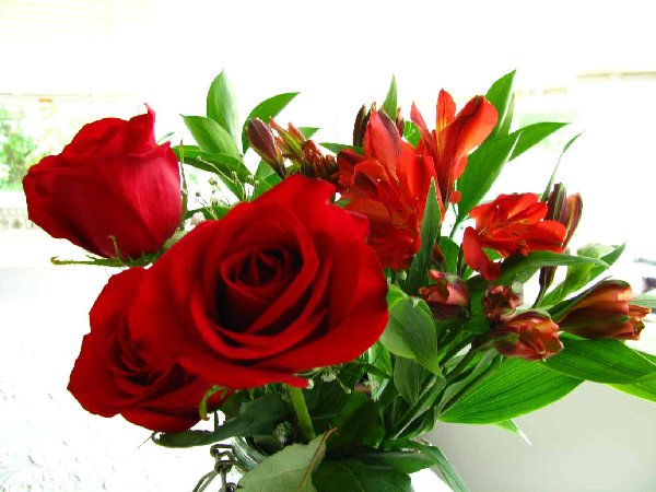 Roses-from-Bobby.jpg